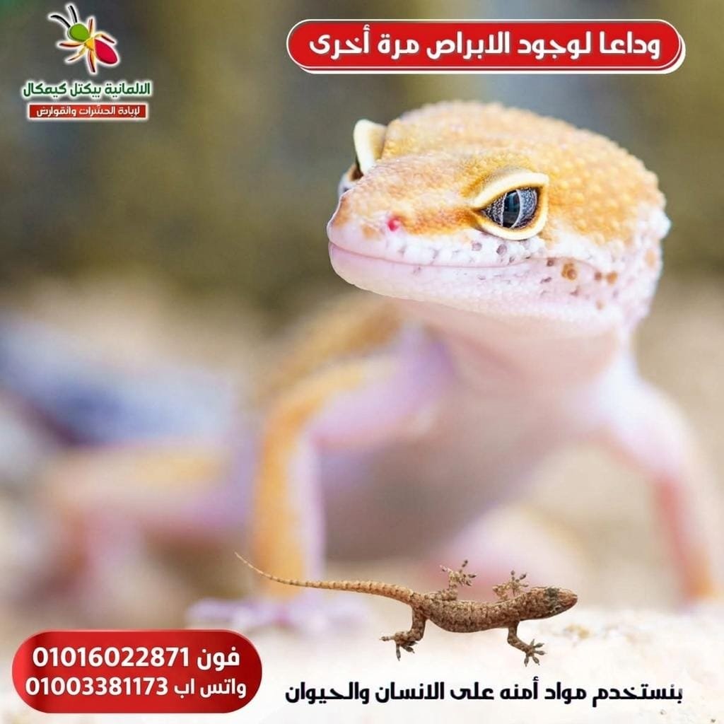 مكافحة حشرات الشرقية