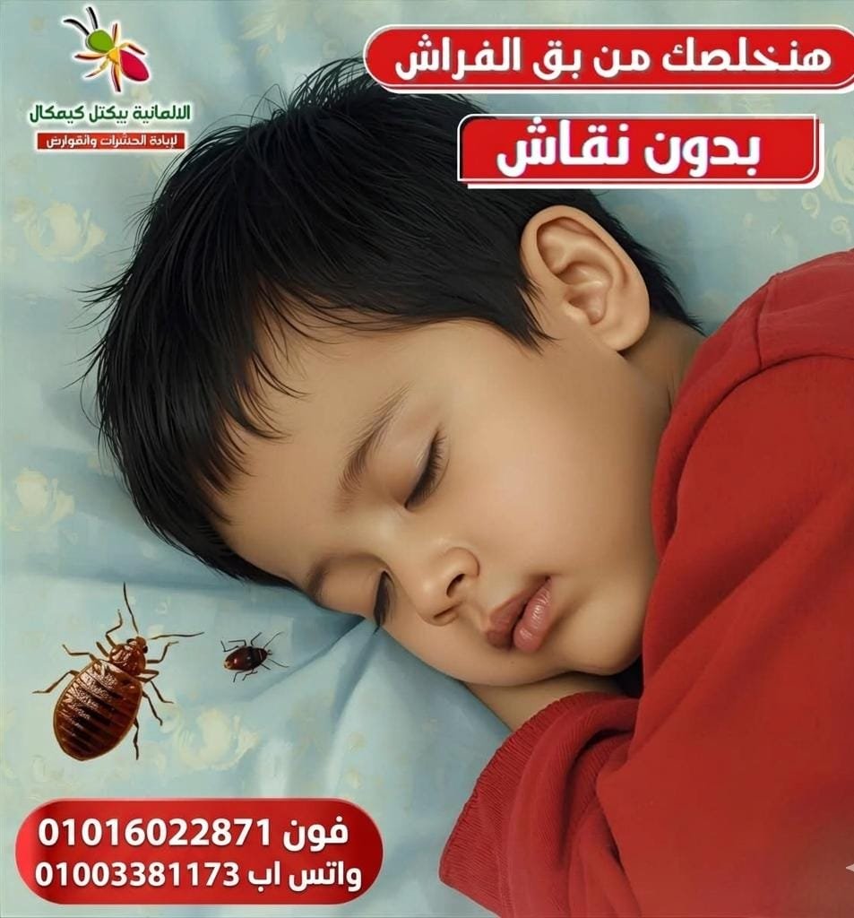 بيئة نظيفة خالية من الحشرات