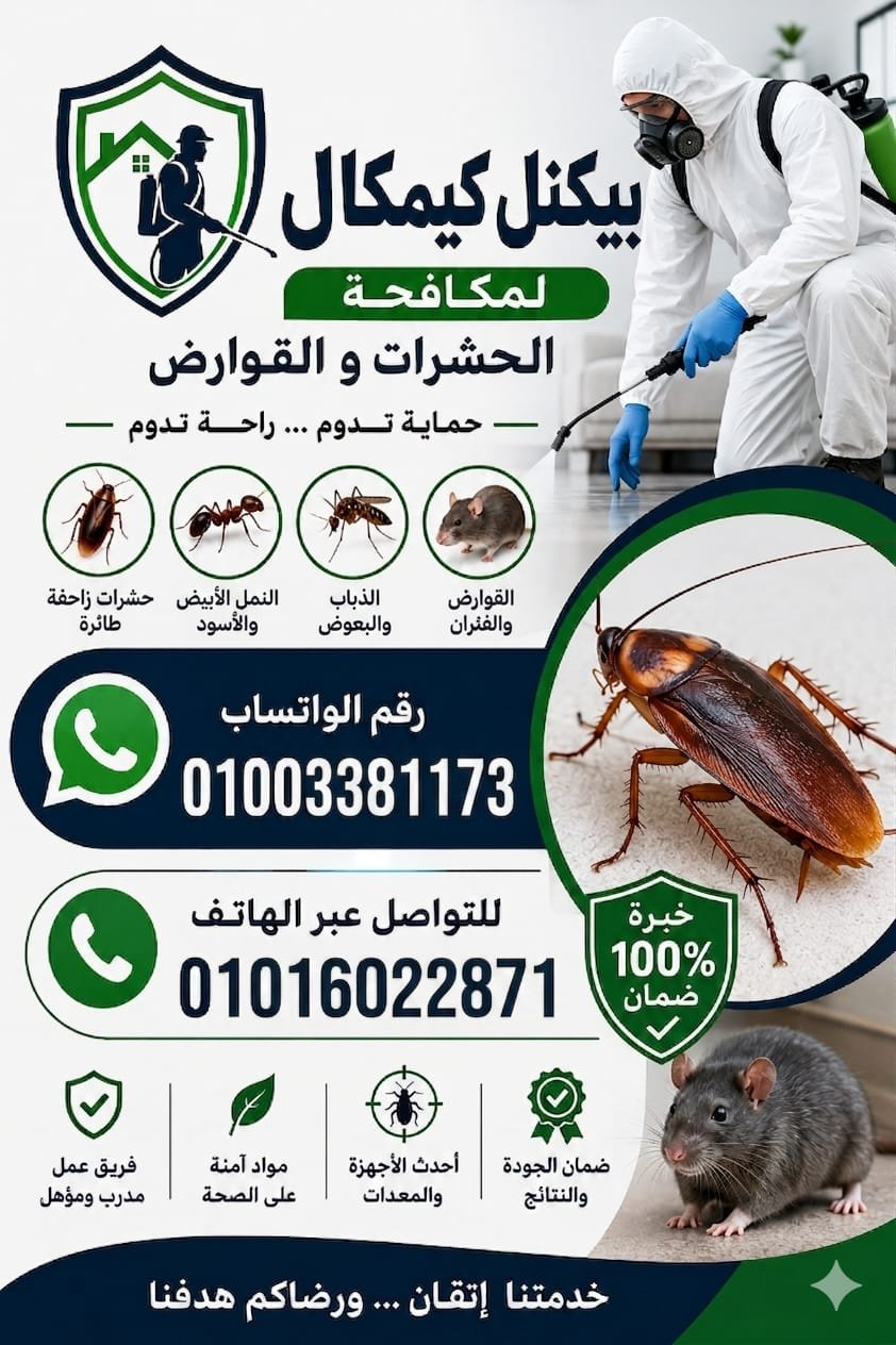 مكافحة حشرات وسط البلد